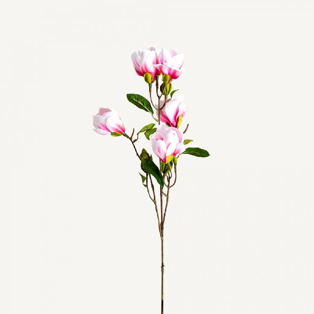 vical home FLOR MAGNOLIA