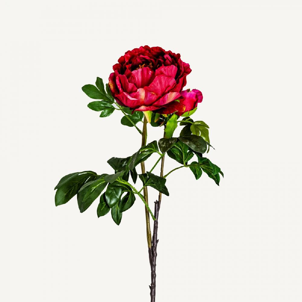 vical home FLOR PEONIA