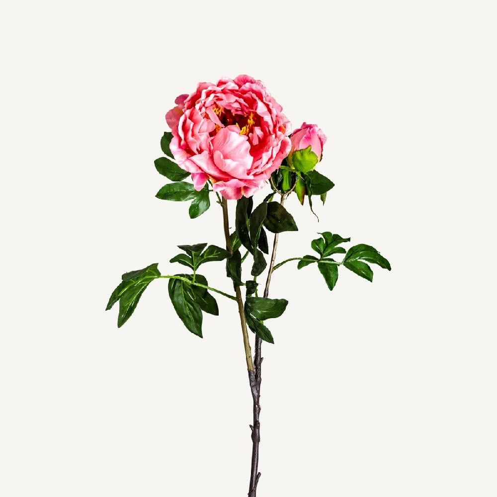 vical home FLOR PEONIA