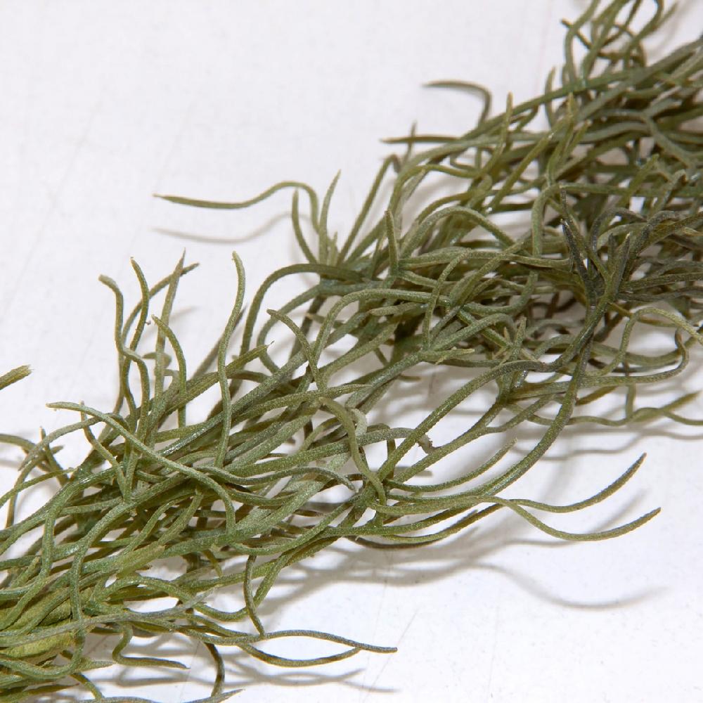 Vical Home FLOR ROMERO