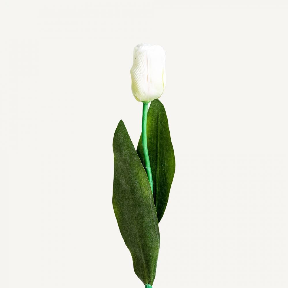 vical home FLOR TULIPAN