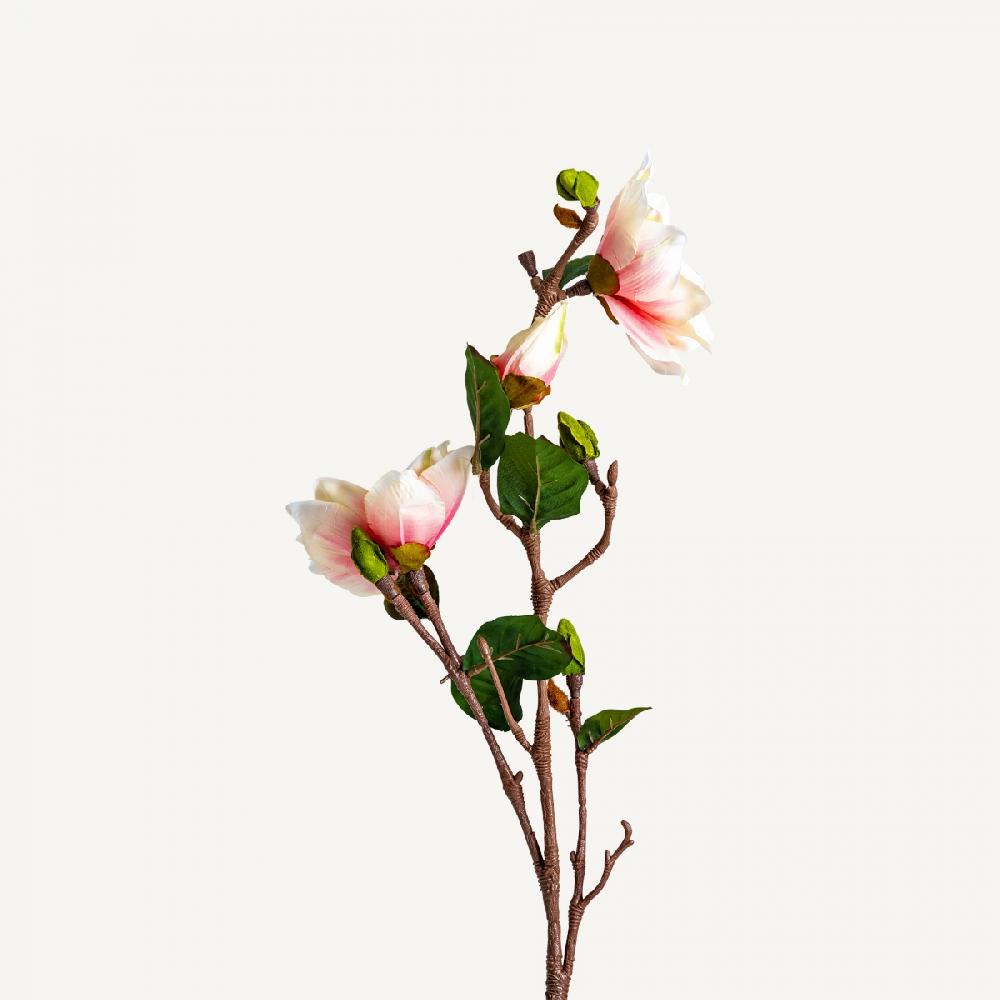 vical home FLOR YULAN