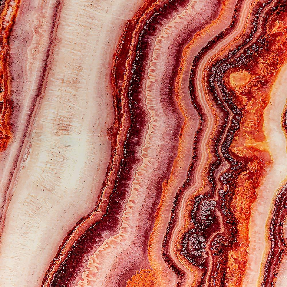 Vical Home LÁMINA ASTANXATINA