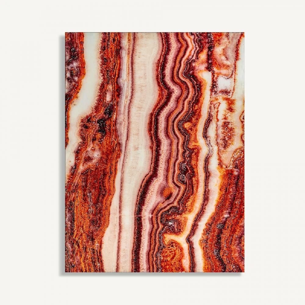 vical home LÁMINA ASTANXATINA