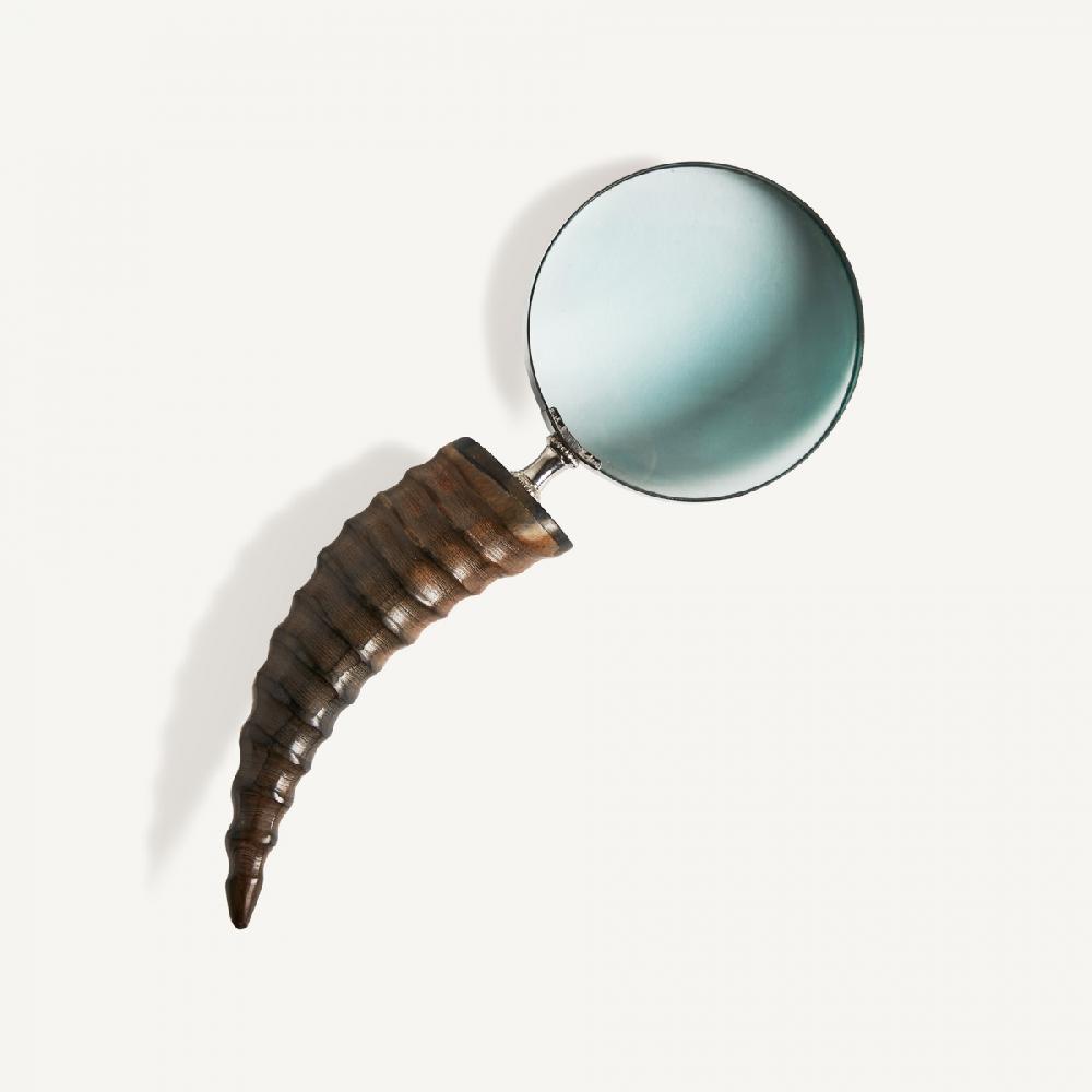 vical home LUPA MADDY