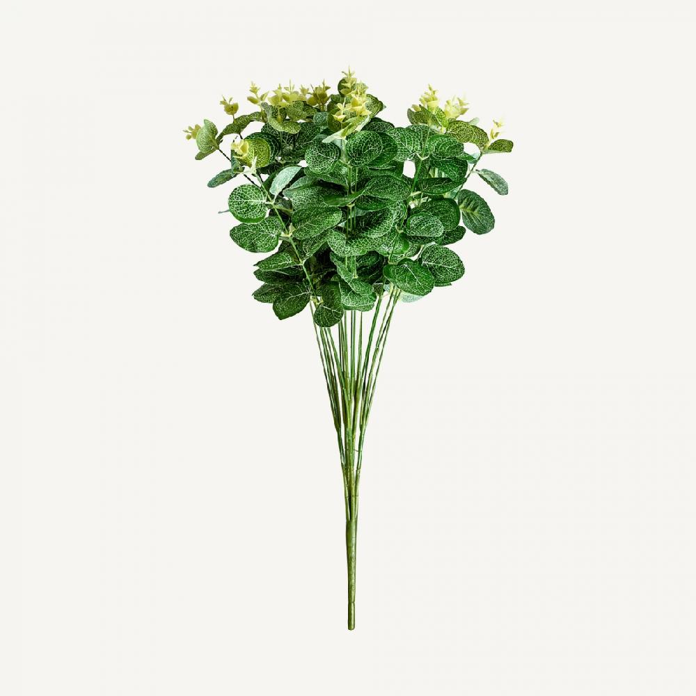 Vical Home PLANTA