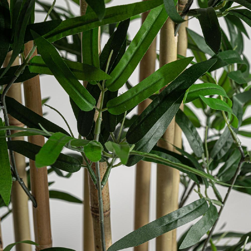 Vical Home PLANTA BAMBÚ