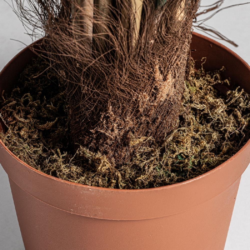 Vical Home PLANTA BAMBÚ