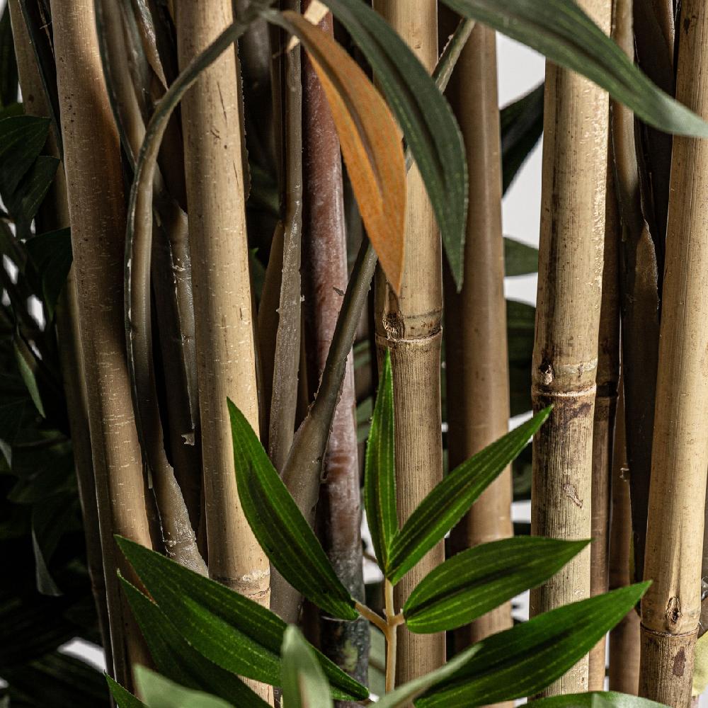 Vical Home PLANTA BAMBÚ