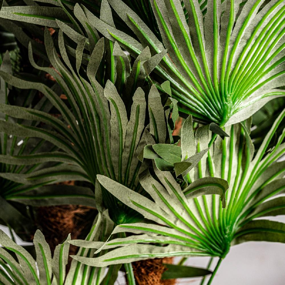 Vical Home PLANTA HELECHO