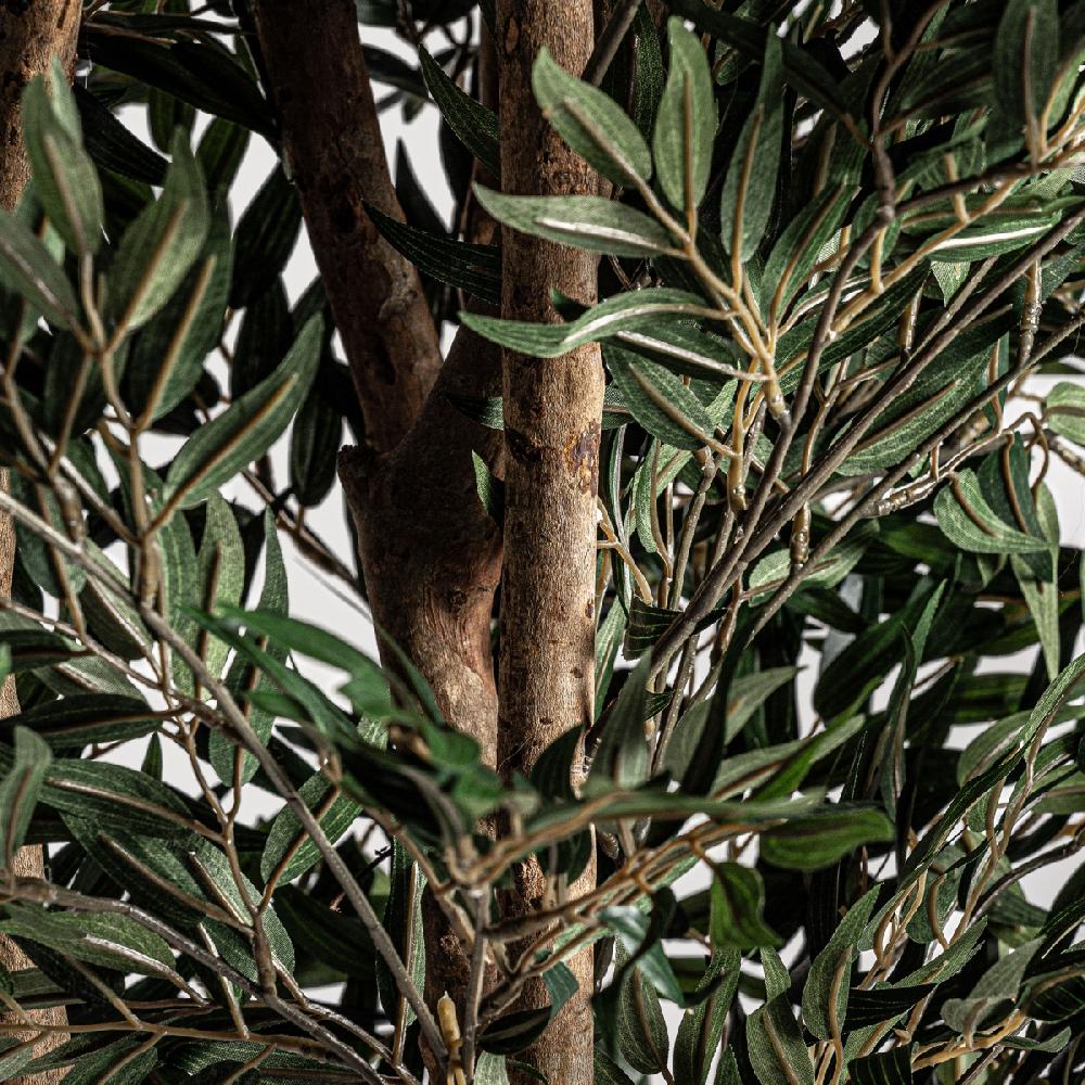 Vical Home PLANTA HELECHO