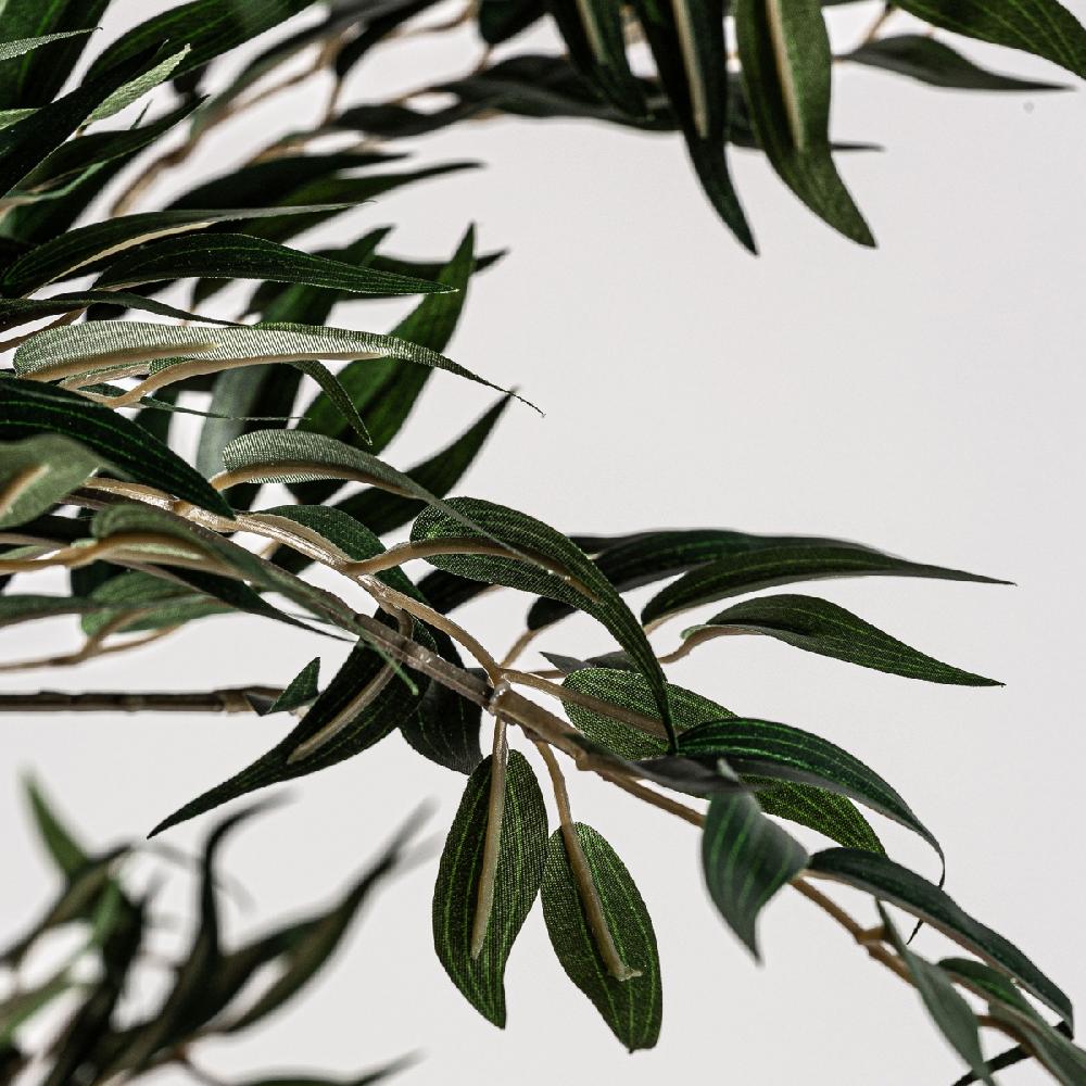 Vical Home PLANTA HELECHO