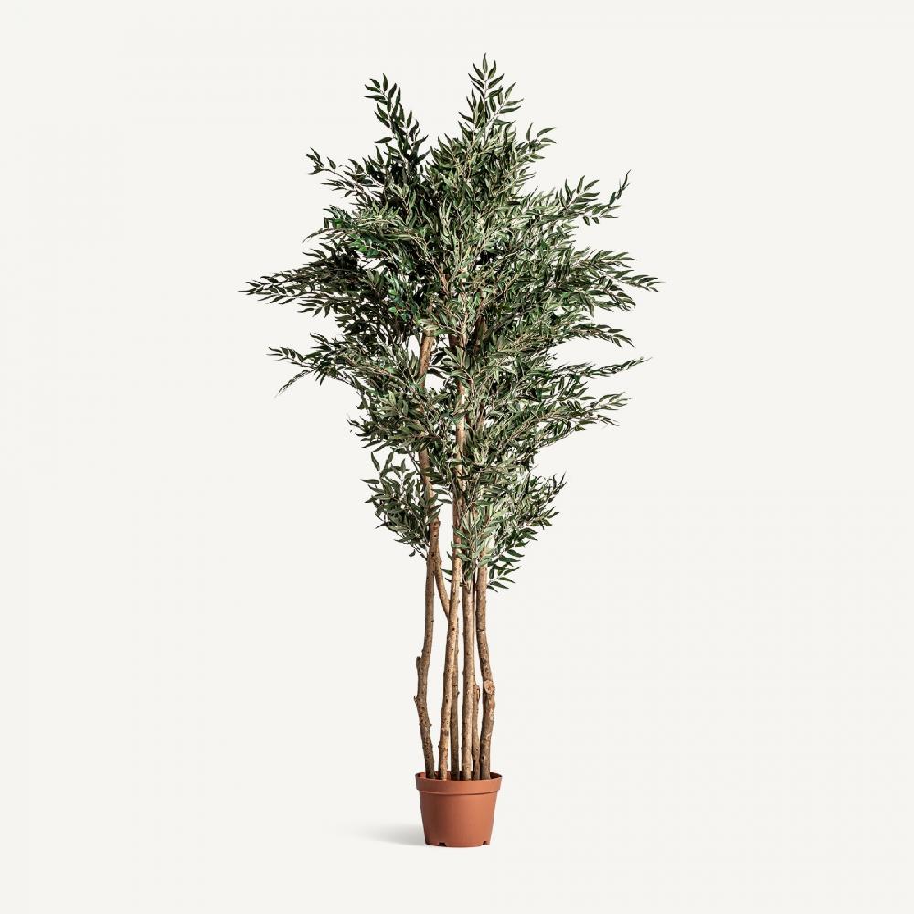 vical home PLANTA HELECHO