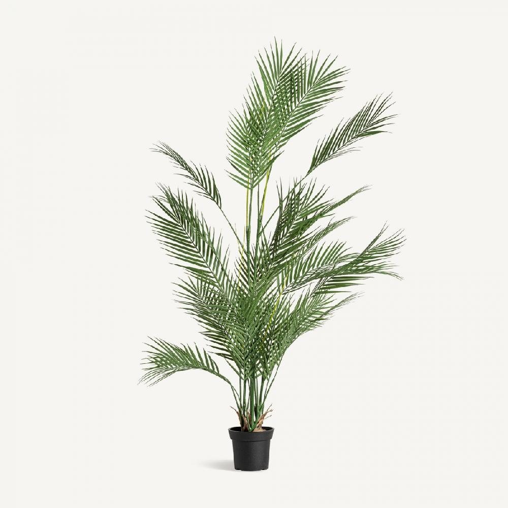 vical home PLANTA HELECHO