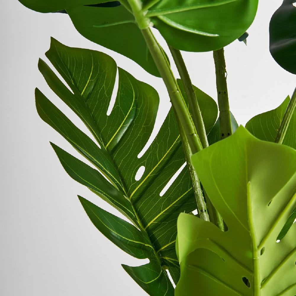 Vical Home PLANTA MONSTERA