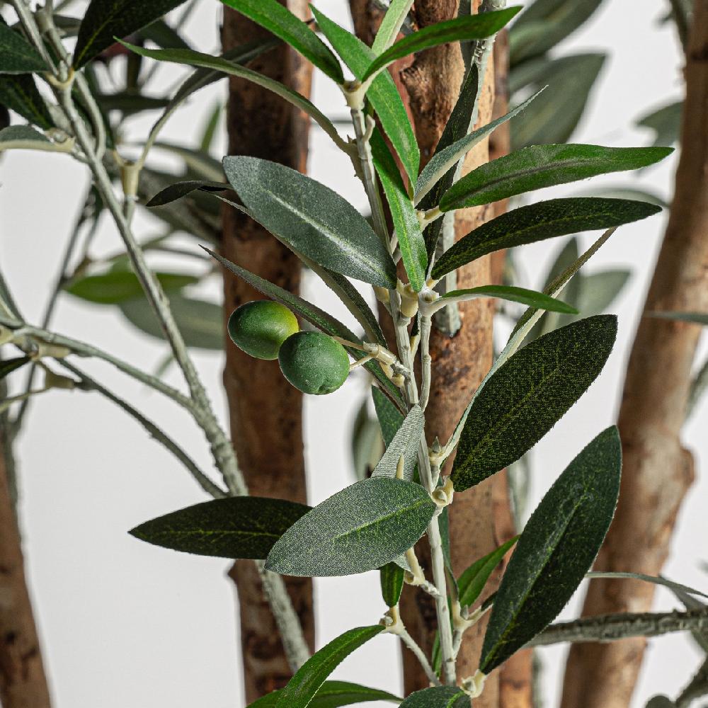 Vical Home PLANTA OLIVO