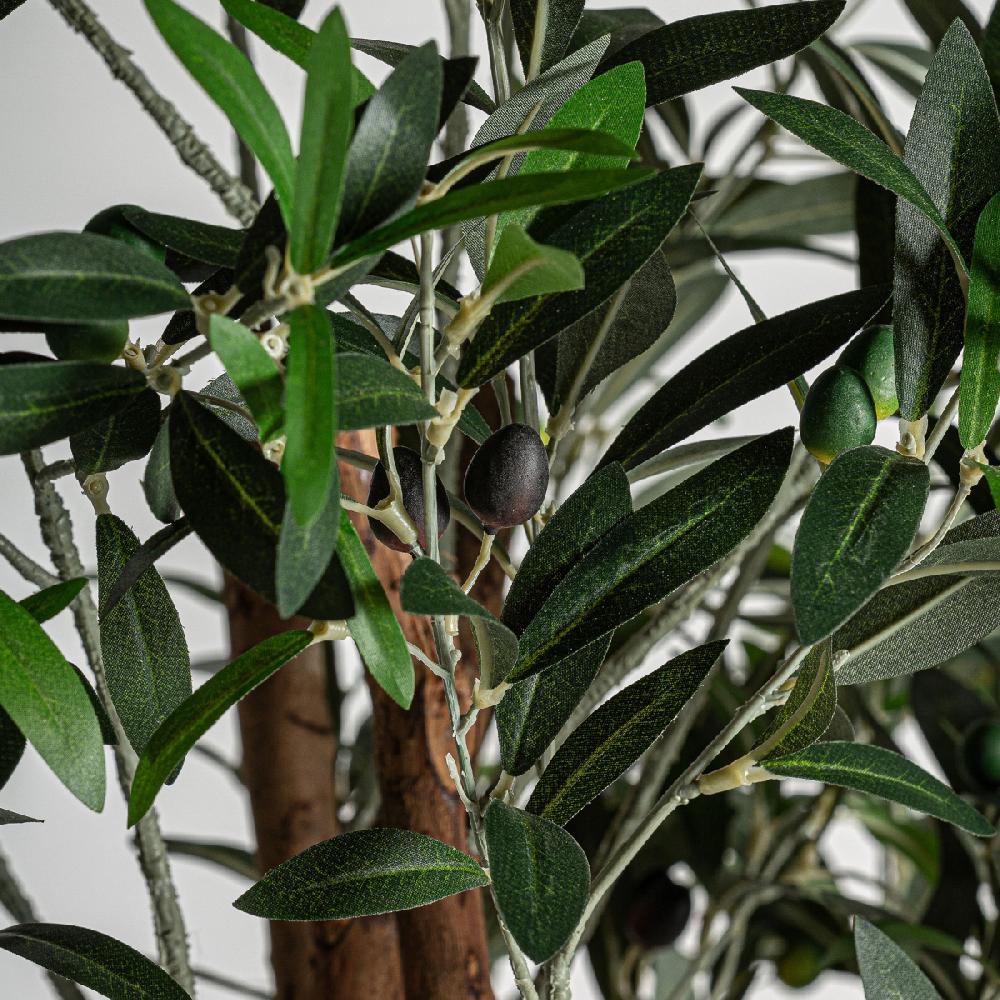 Vical Home PLANTA OLIVO