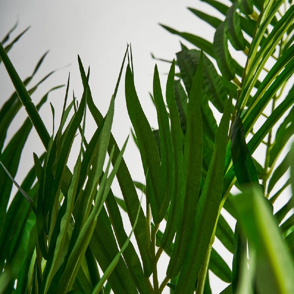 Vical Home PLANTA PALMERA