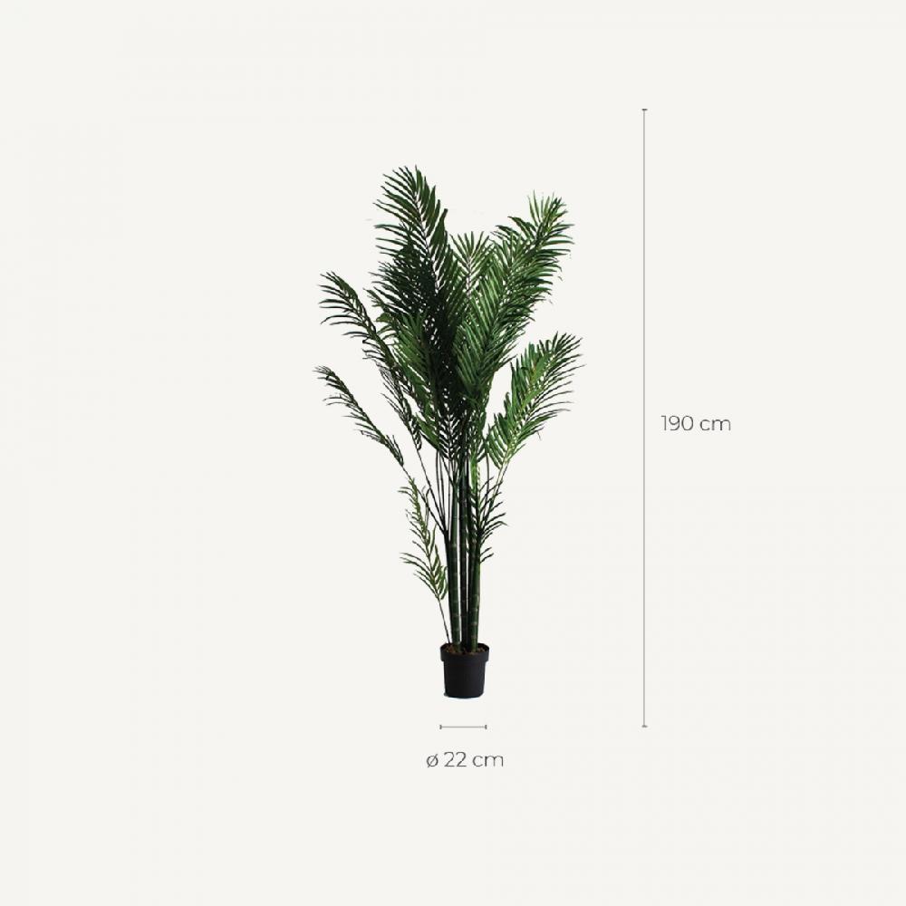 Vical Home PLANTA PALMERA