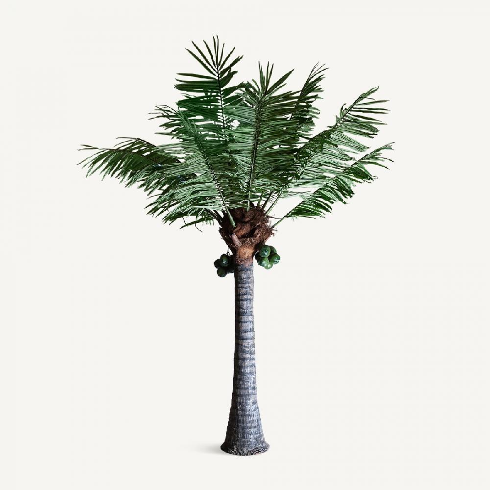 vical home PLANTA PALMERA