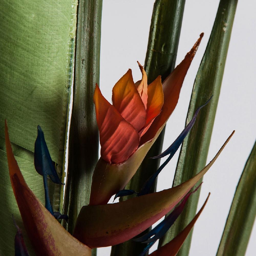 Vical Home PLANTA PARADISE