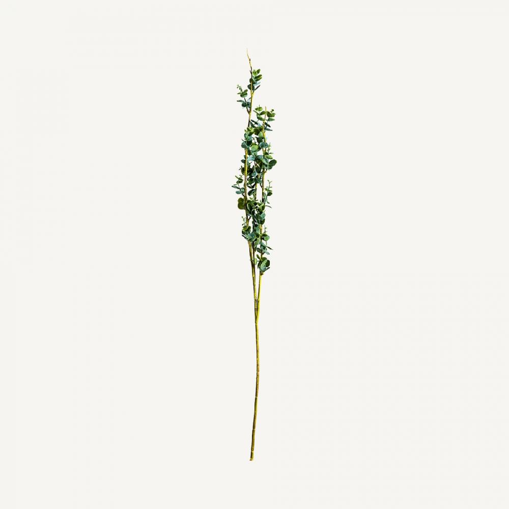 Vical Home PLANTA RAMAS