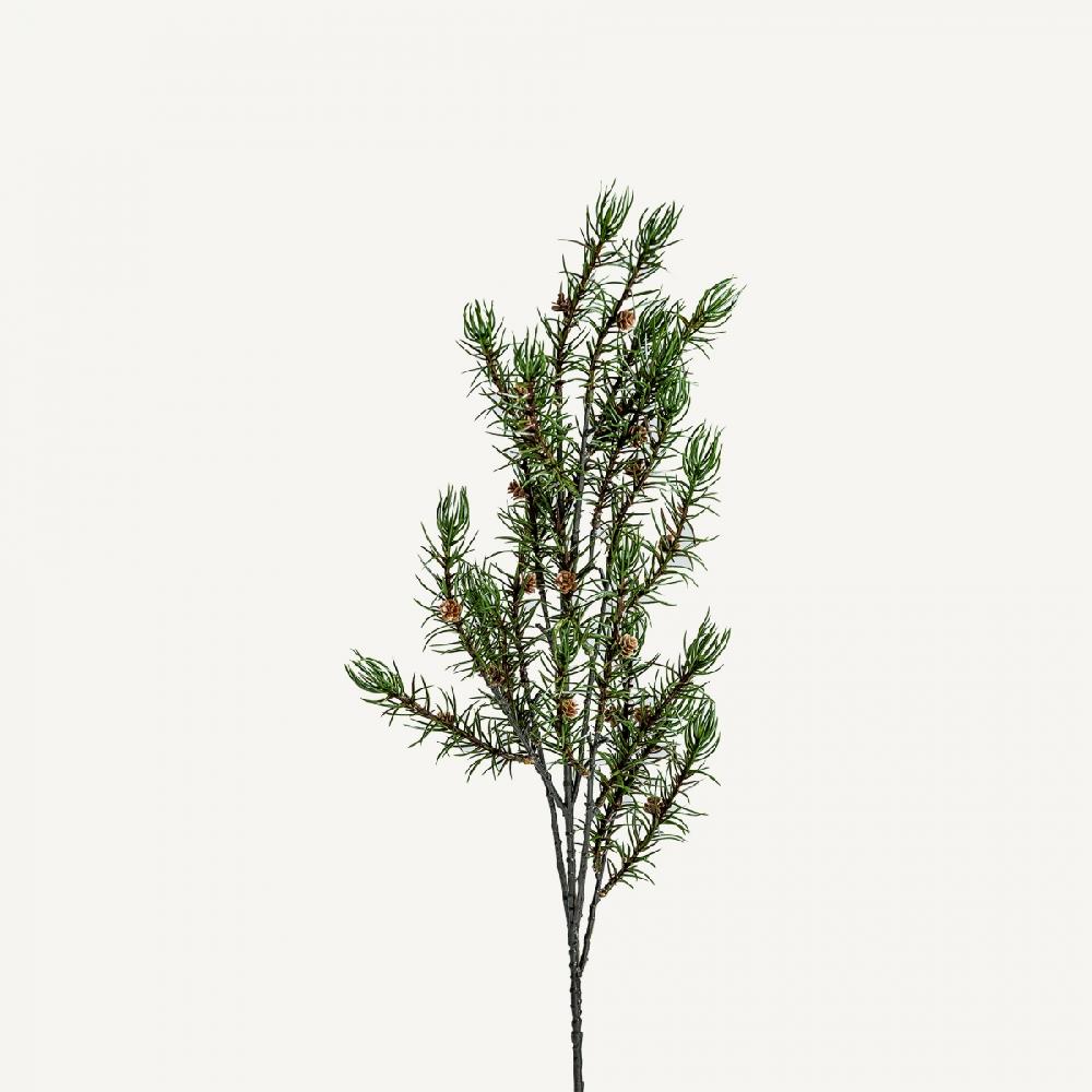 vical home PLANTA ROMERO