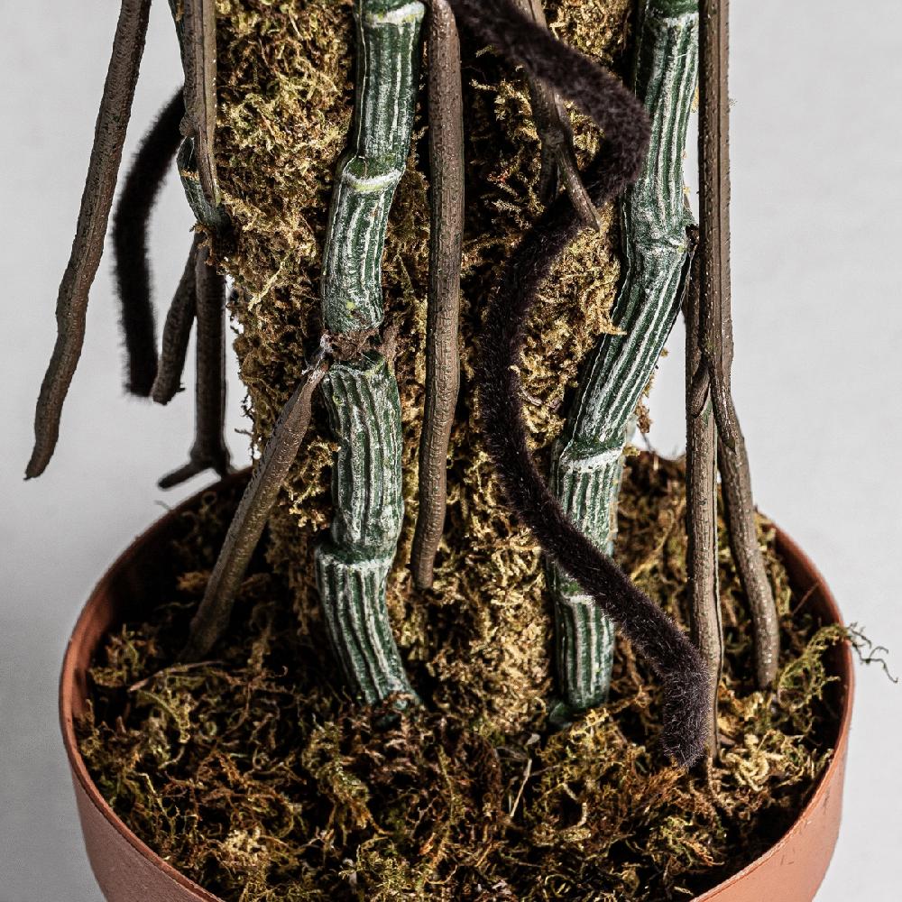 Vical Home PLANTA SPLIT PHILO