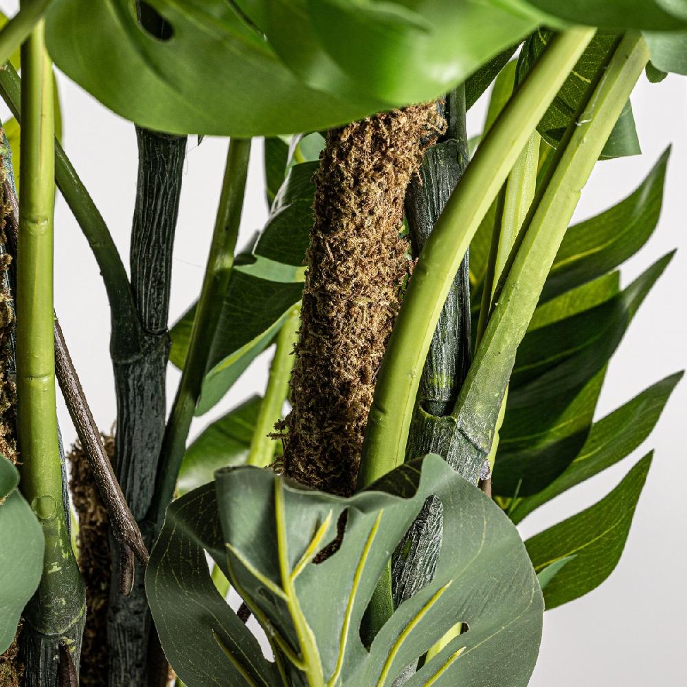 Vical Home PLANTA SPLIT PHILO