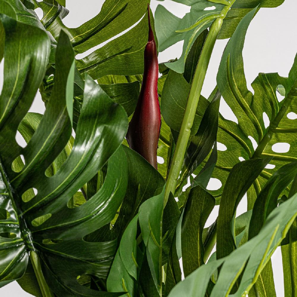 Vical Home PLANTA SPLIT PHILO