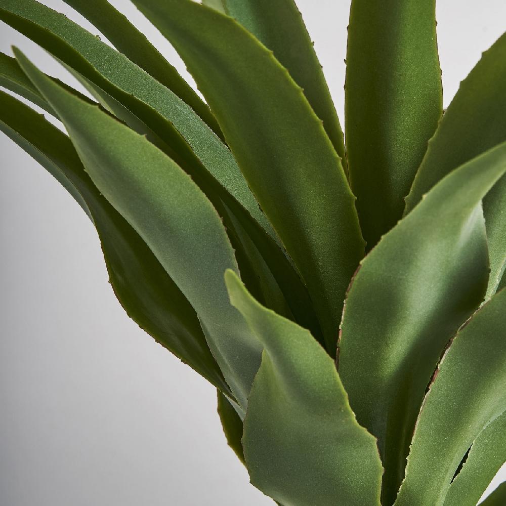 Vical Home PLANTA YUCCA