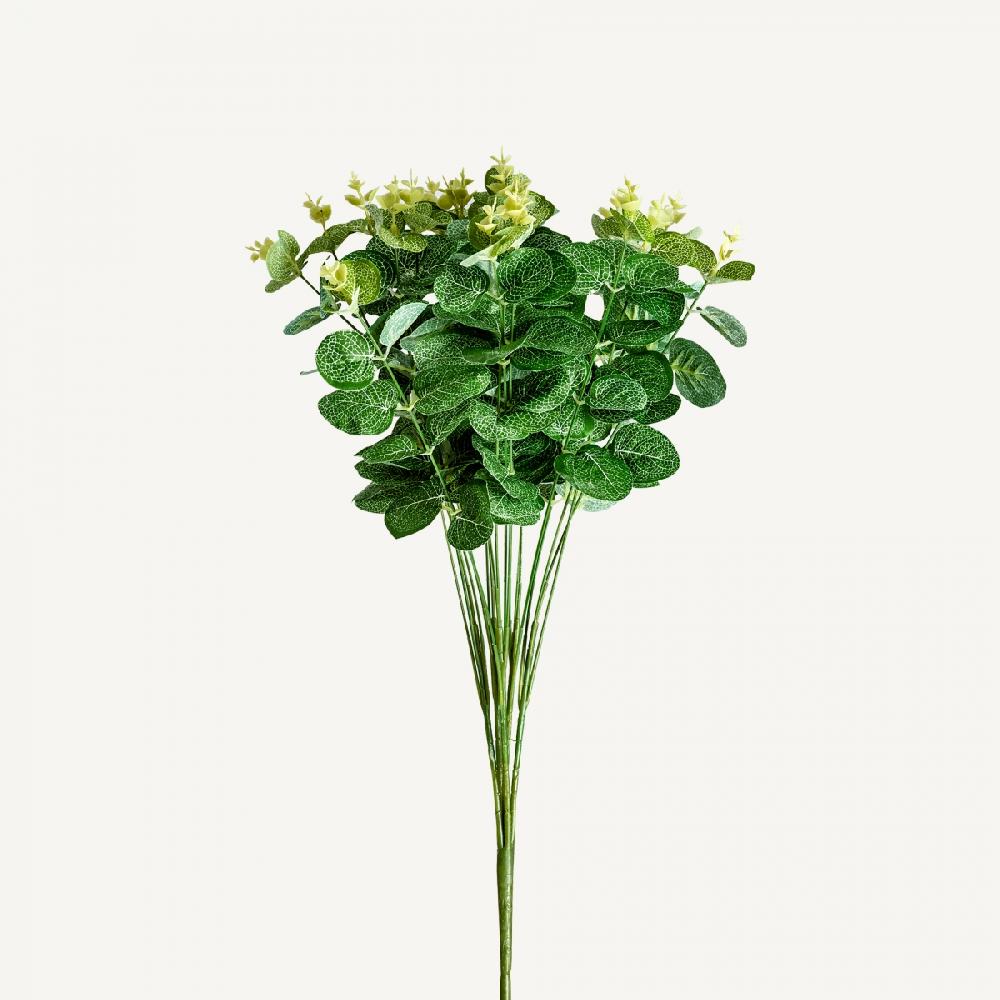Vical Home PLANTA