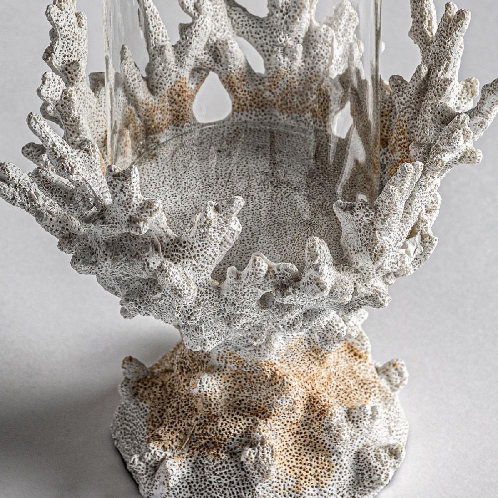 Vical Home PORTAVELA ARRECIFE