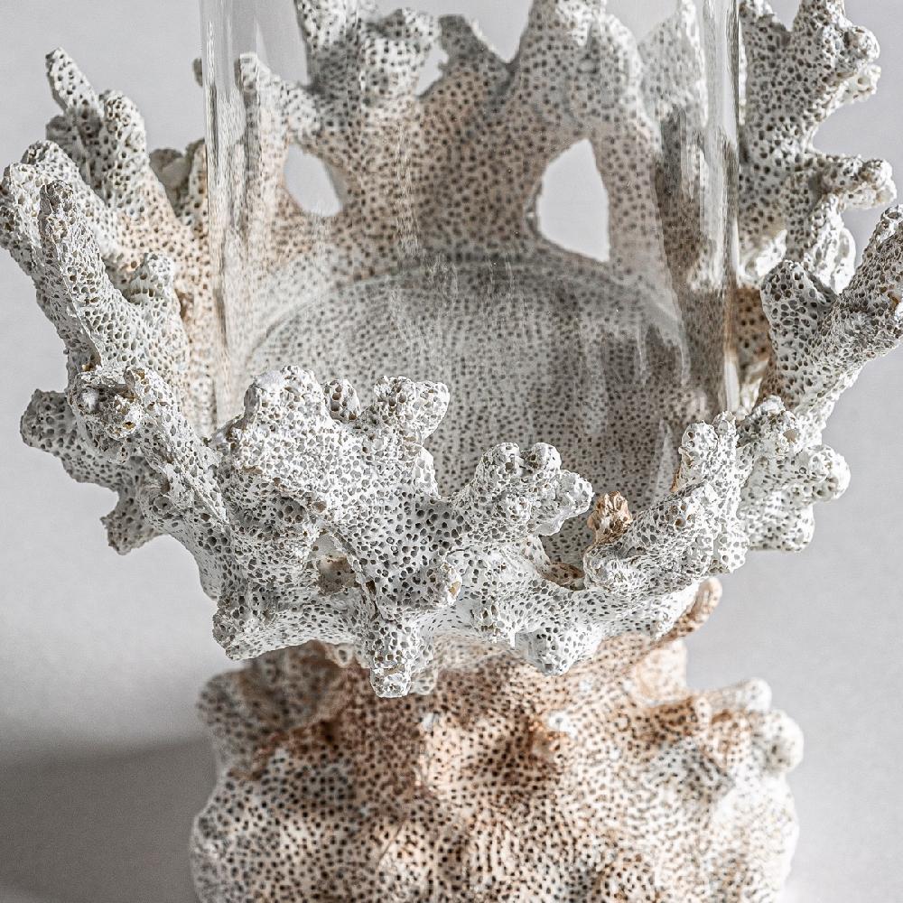 Vical Home PORTAVELA ARRECIFE