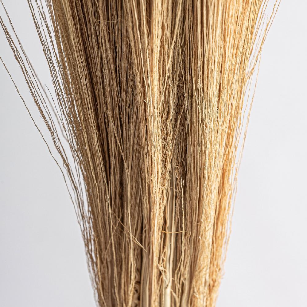 Vical Home RAMAS LEASHE