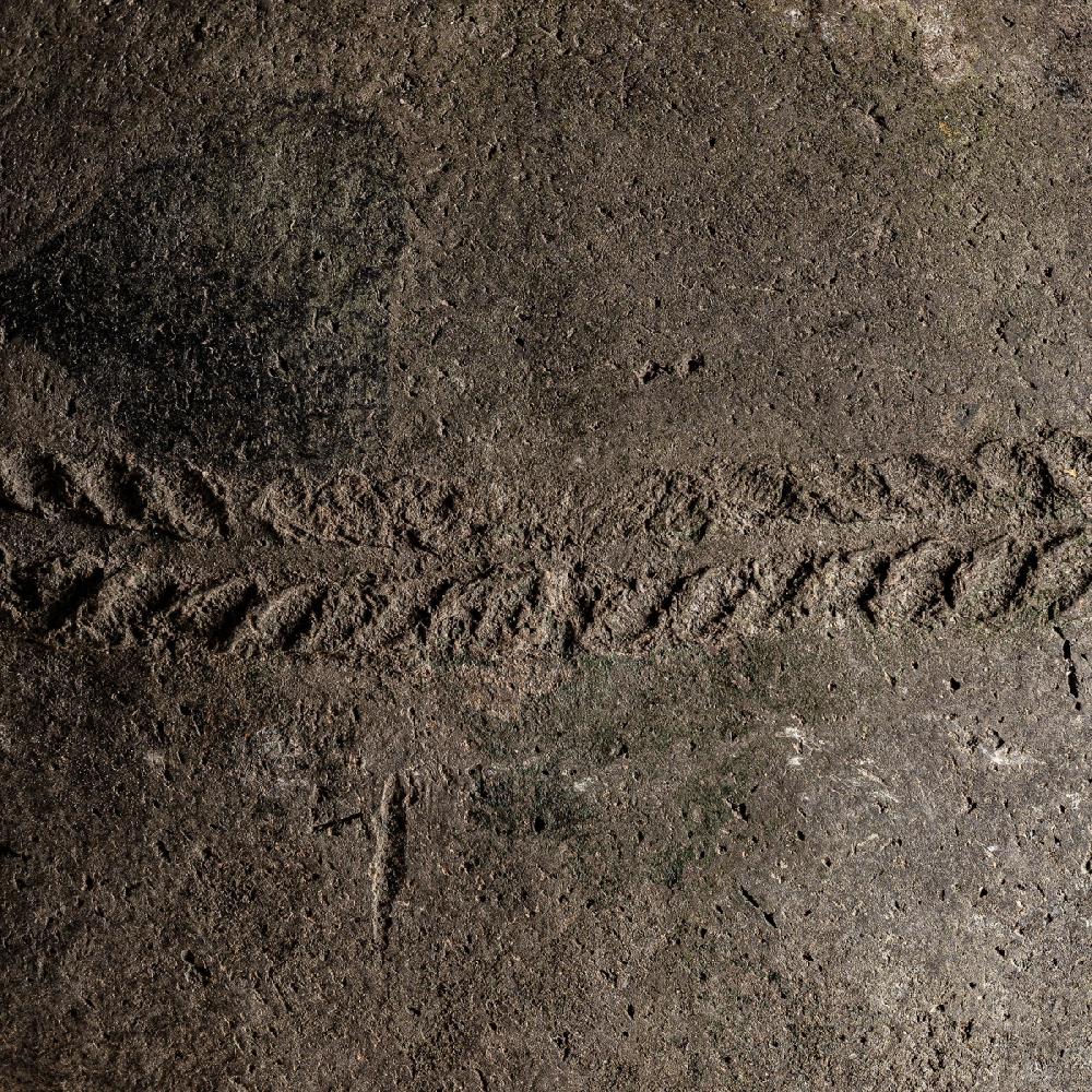 Vical Home TINAJA COLMBERG