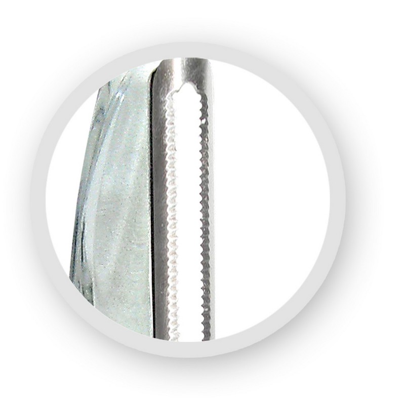 Vin Bouquet Pelador Serrado