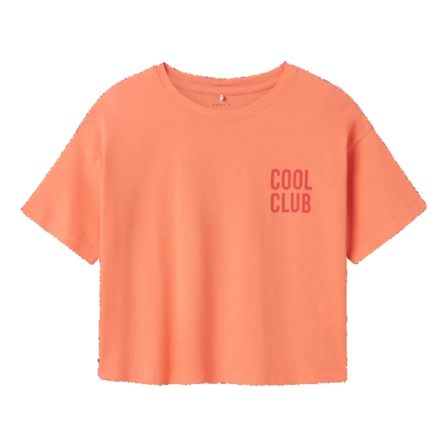 wala Camisetas manga corta Name-it Nkfnosa Ss Short Rlx Top Box