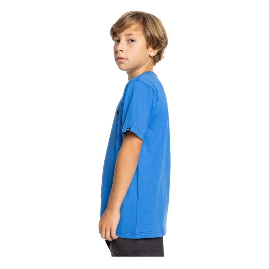 Wala Camisetas Manga Corta Quiksilver Basic Ss Tee Youth