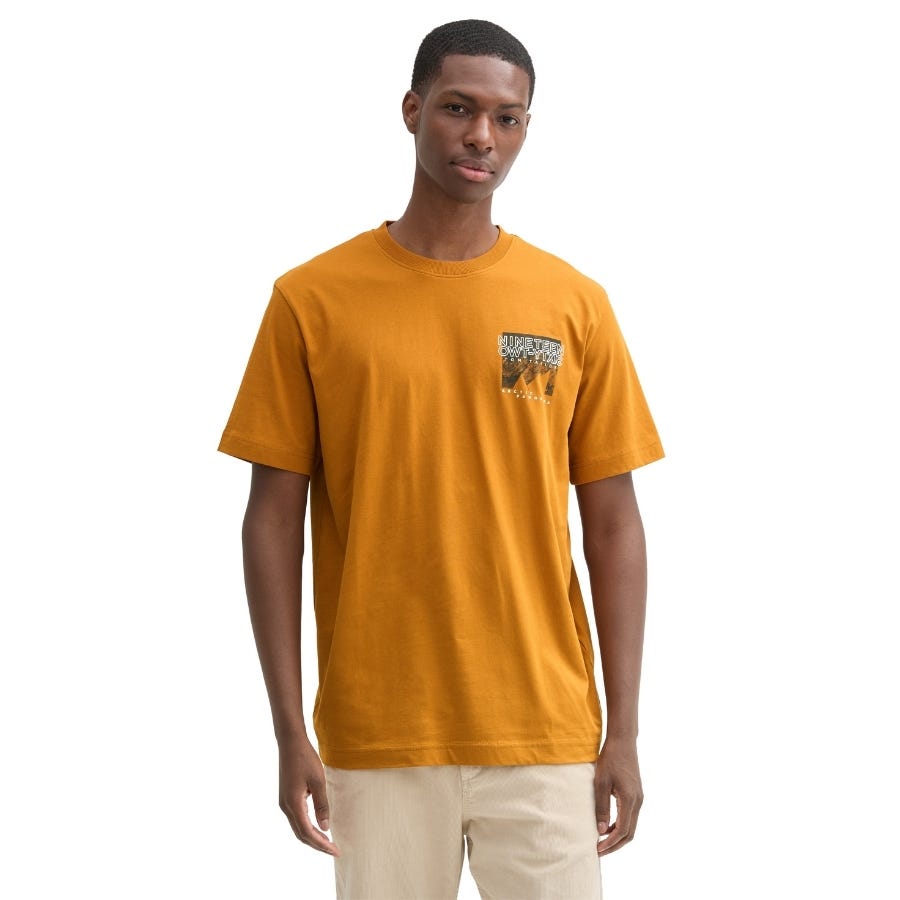 wala Camisetas manga corta Tom tailor Printed T-Shirt T-Shirts