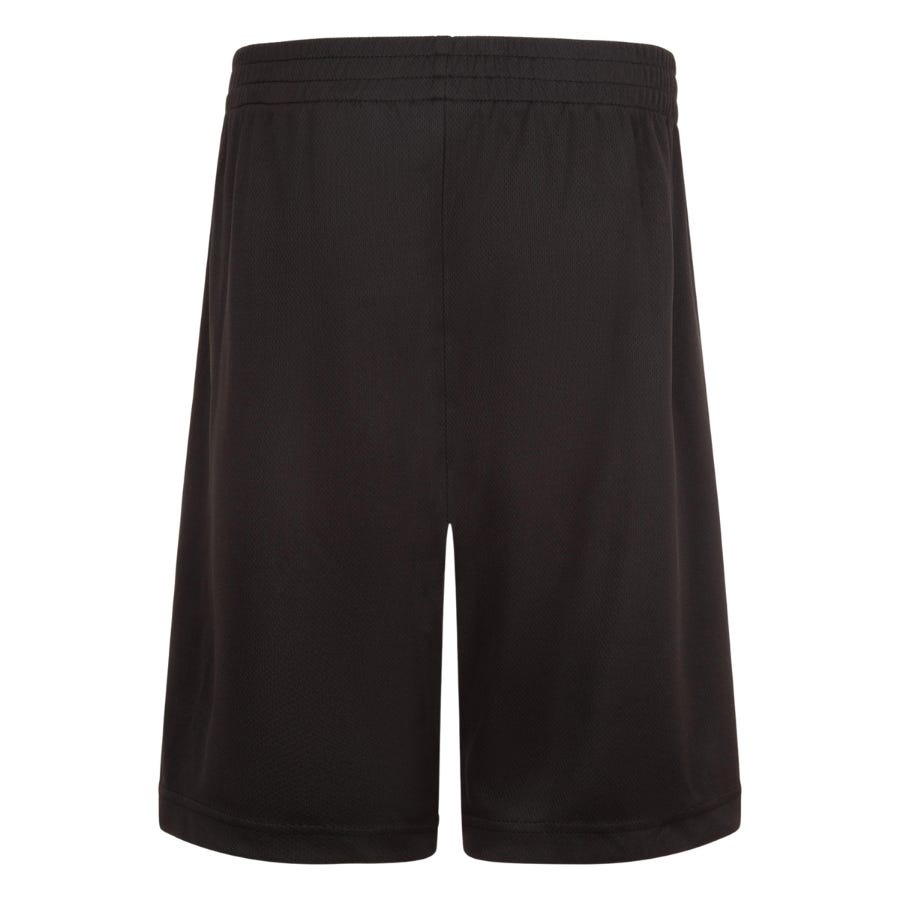 Wala Pantalones Cortos Jordan Noos Jordan Vert Mesh Short