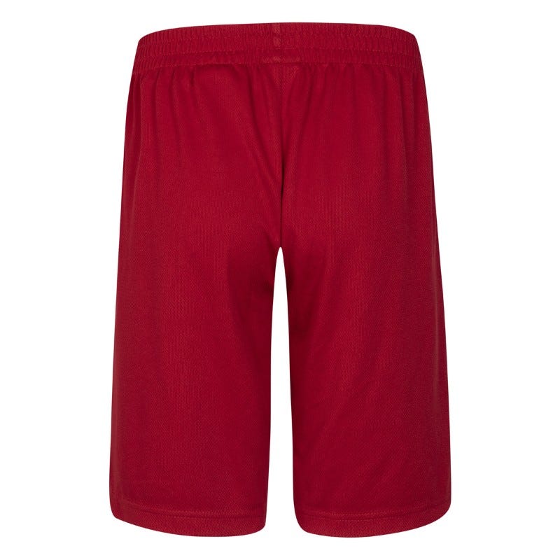 Wala Pantalones Cortos Jordan Noos Jordan Vert Mesh Short