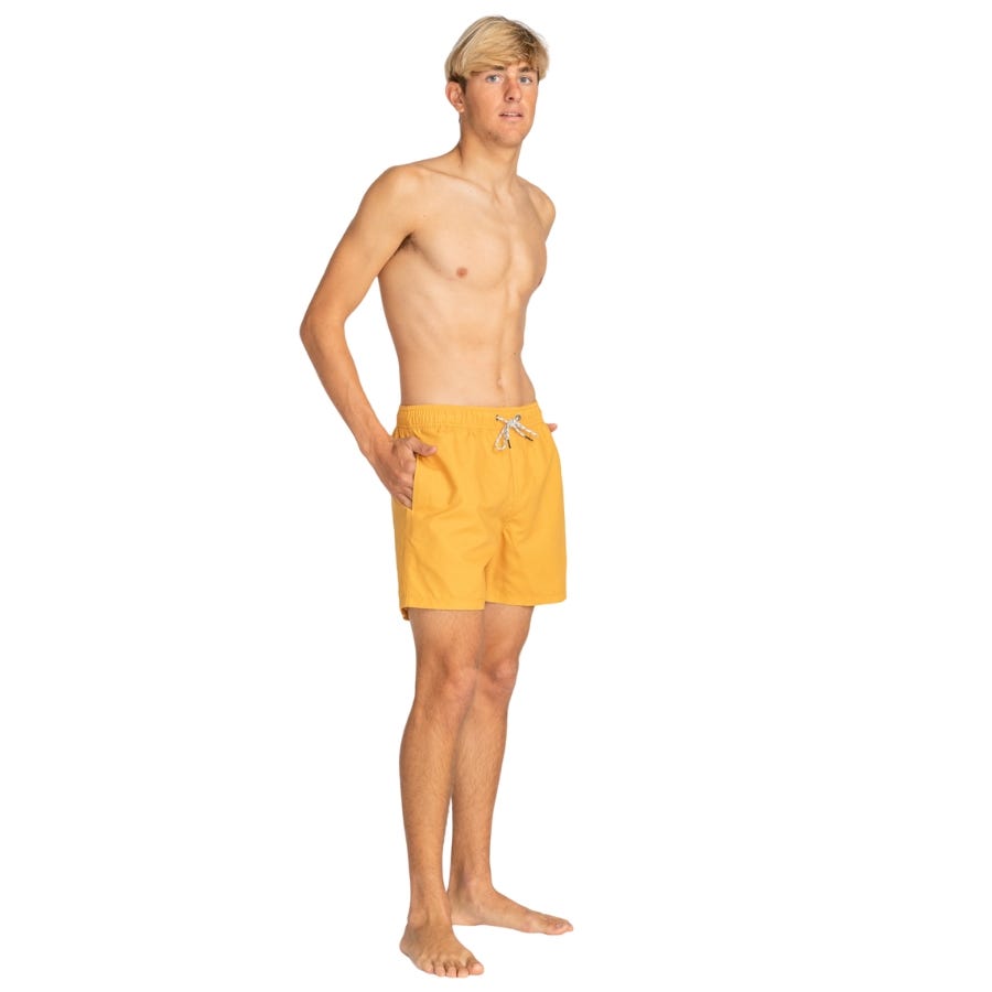 Wala Bañadores Billabong All Day Lb