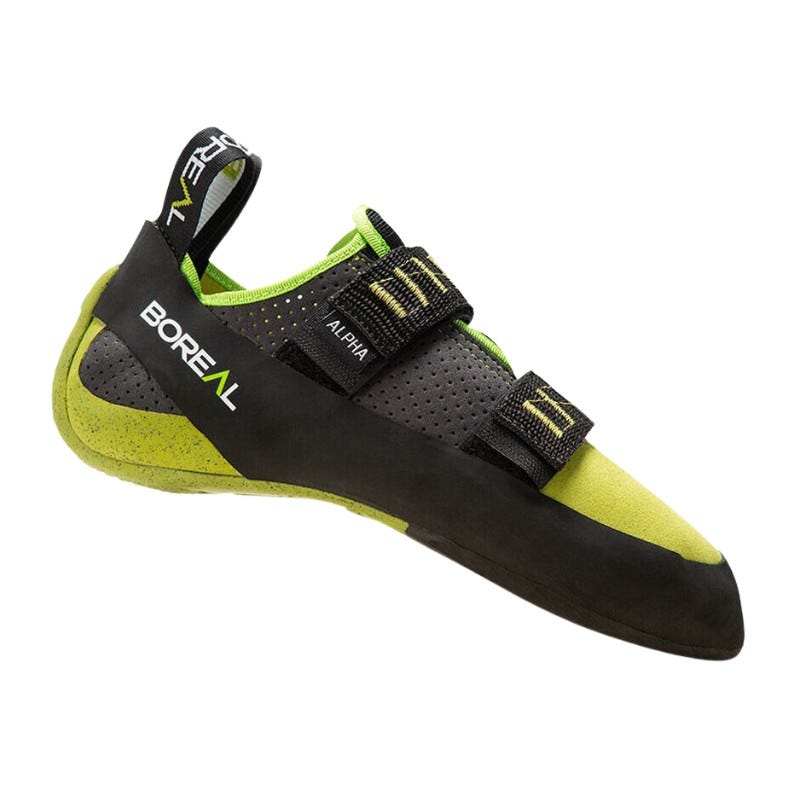 wala Pies de gato Boreal ALPHA