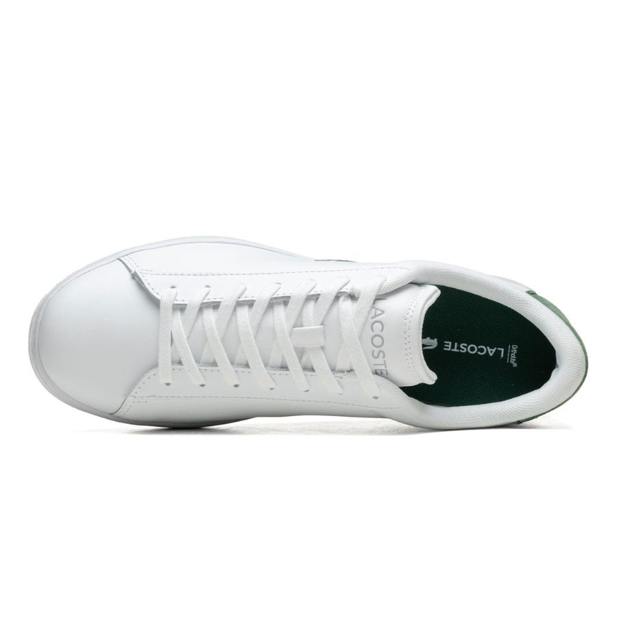 Wala Zapatillas Lacoste Carnaby Set 224 1 Sma