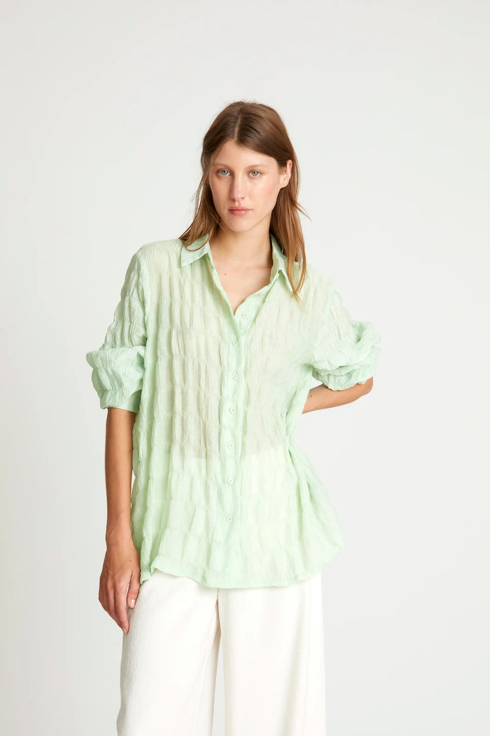 wild pony Camisa textura verde