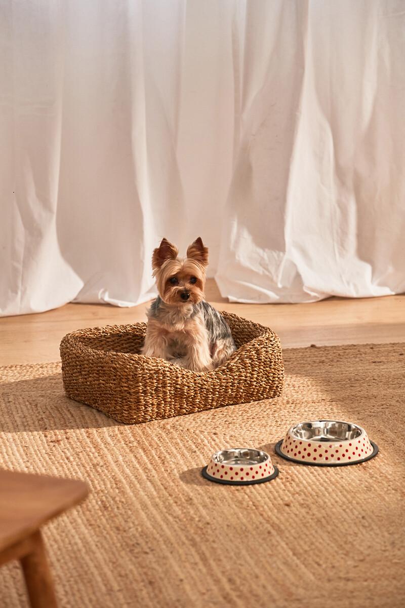 Women'secret Cama Para Mascotas De Junco De Mar Braid Con Cojín