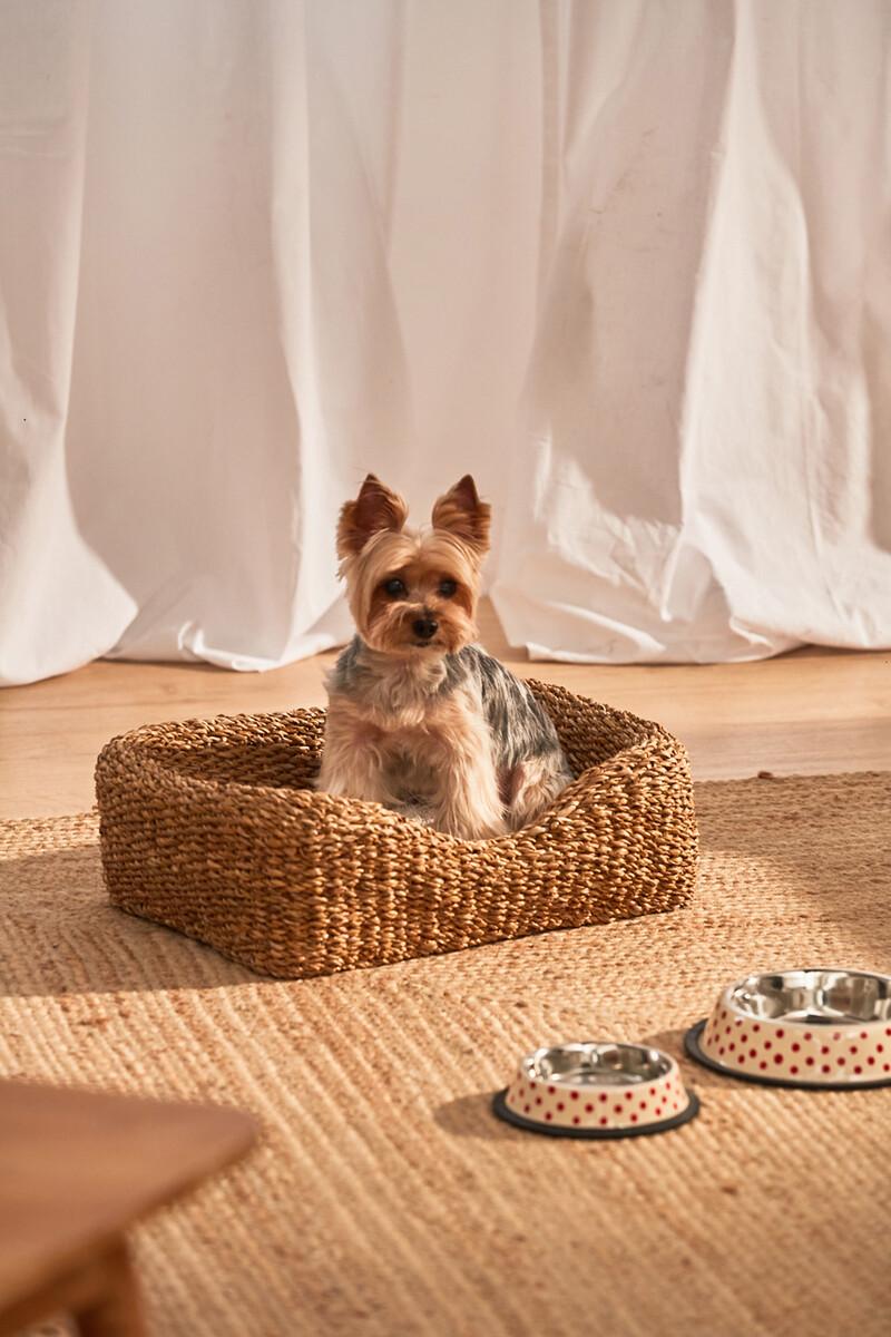 Women'secret Cama Para Mascotas De Junco De Mar Braid Con Cojín