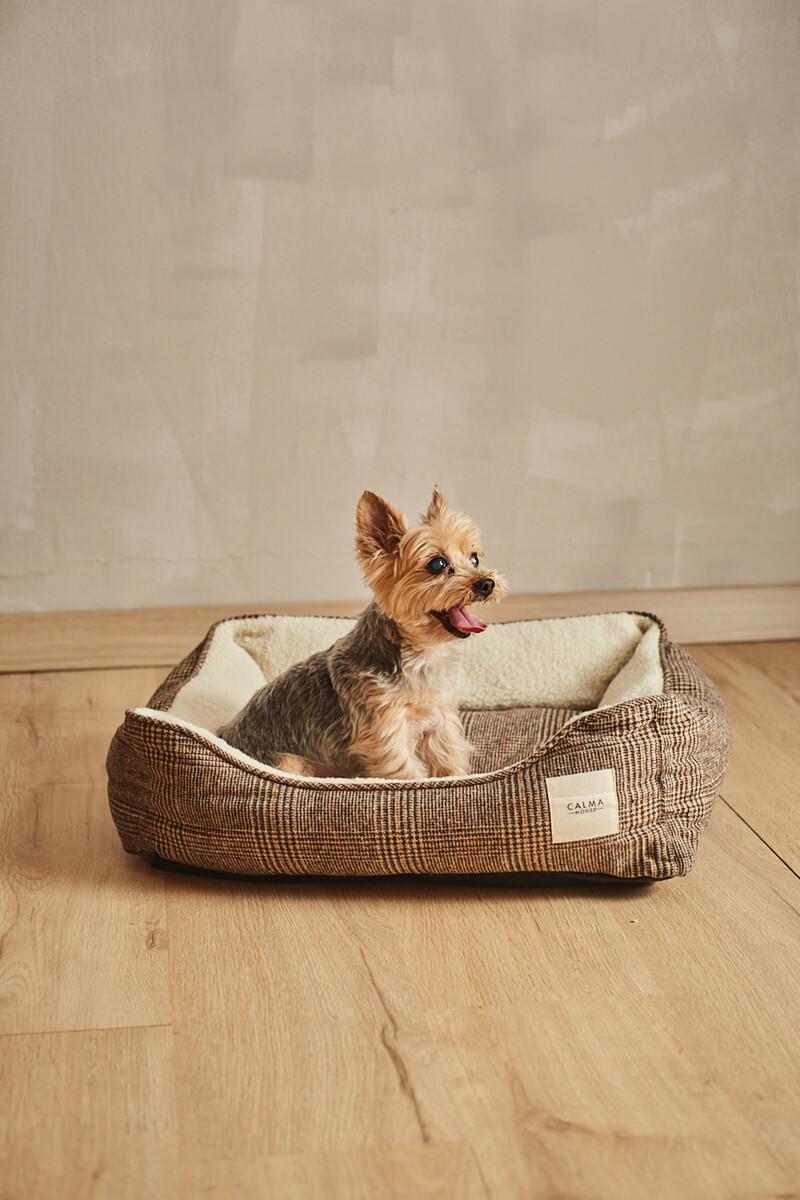 women'secret Cama para mascotas desenfundable Scott