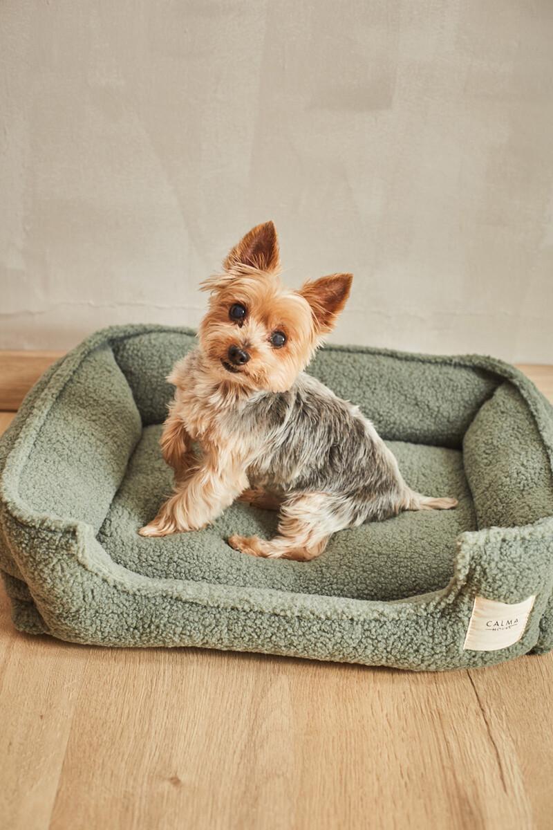 women'secret Cama para mascotas desenfundable verde Henry